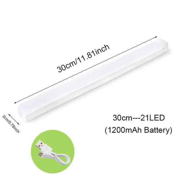 Motion Sensor Light Cabinet Lighting Kit with 21 LEDs, 30cm length, USB charging cable included.