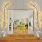 Enchanting vine lights creating ambient lighting in a cozy interior space.